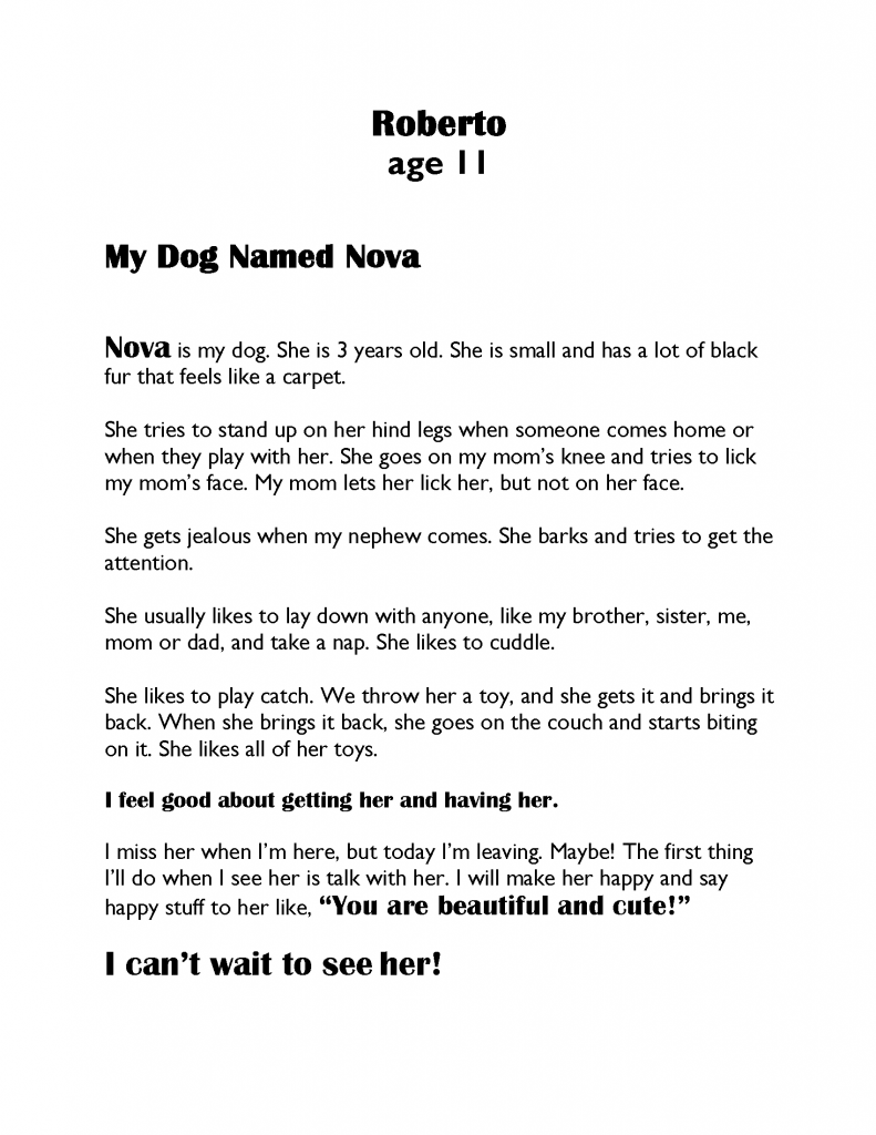 My Dog Named Nova, Artwork No. 260