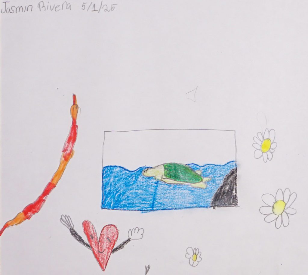 The Zoo, Artwork No. 178