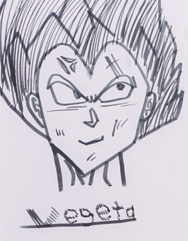 Vegeta, Artwork No. 218